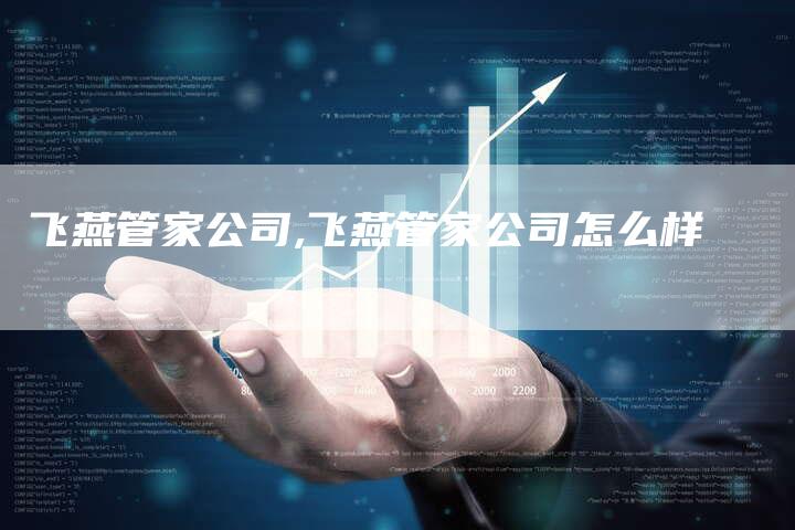 飞燕管家公司,飞燕管家公司怎么样