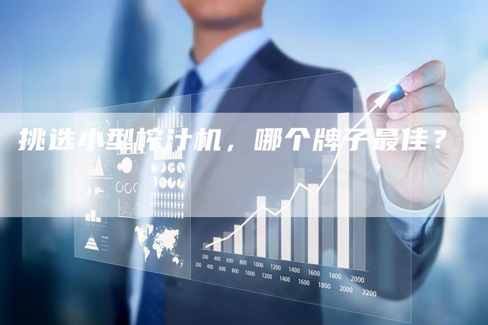 挑选小型榨汁机，哪个牌子最佳？