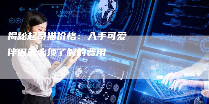 揭秘起司猫价格：入手可爱伴侣前必须了解的费用