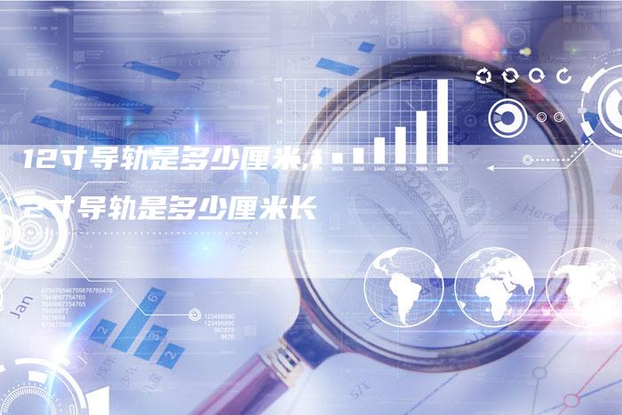12寸导轨是多少厘米,12寸导轨是多少厘米长