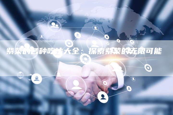 紫菜的各种吃法大全：探索紫菜的无限可能