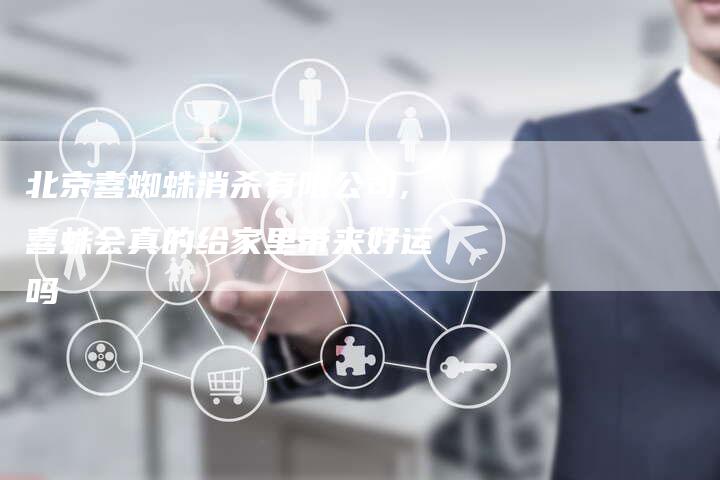 北京喜蜘蛛消杀有限公司,喜蛛会真的给家里带来好运吗