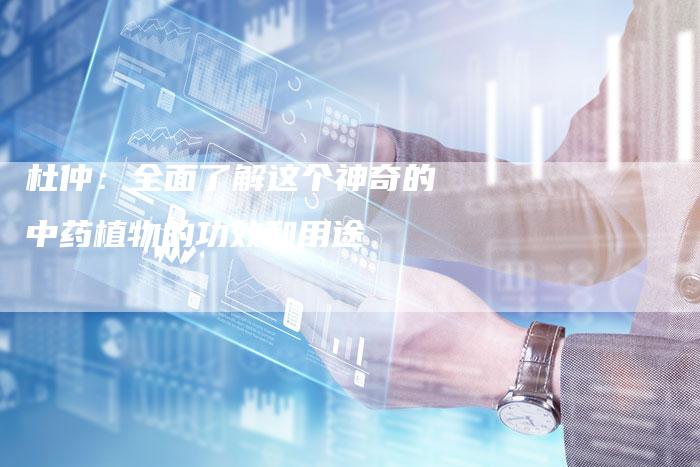 杜仲：全面了解这个神奇的中药植物的功效和用途