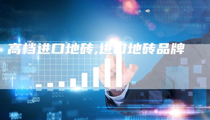 高档进口地砖,进口地砖品牌