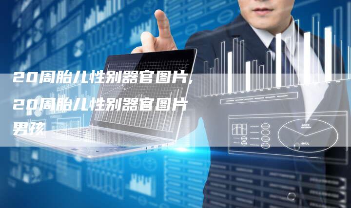 20周胎儿性别器官图片,20周胎儿性别器官图片 男孩