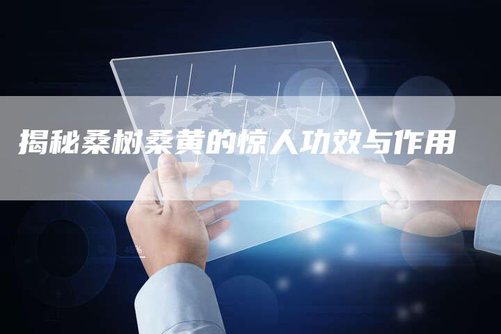 揭秘桑树桑黄的惊人功效与作用