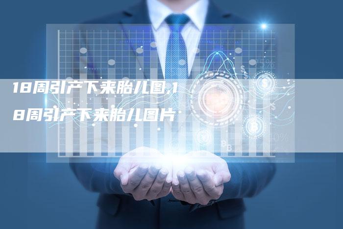 18周引产下来胎儿图,18周引产下来胎儿图片