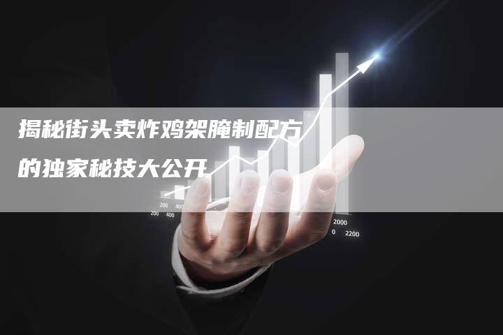 揭秘街头卖炸鸡架腌制配方的独家秘技大公开