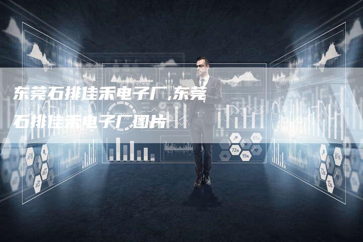东莞石排佳禾电子厂,东莞石排佳禾电子厂图片