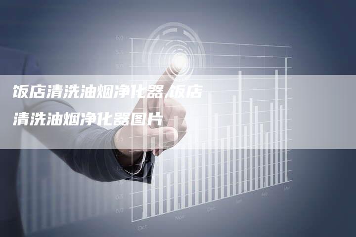 饭店清洗油烟净化器,饭店清洗油烟净化器图片