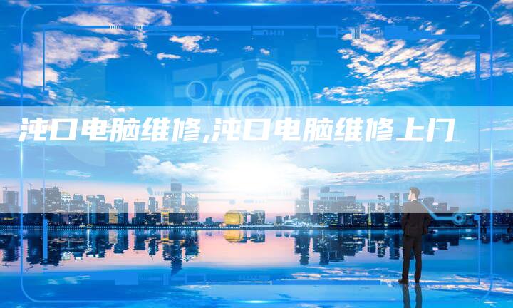 沌口电脑维修,沌口电脑维修上门