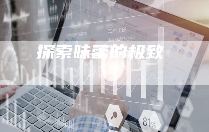 探索味蕾的极致