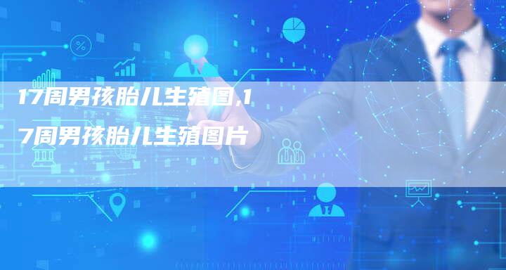 17周男孩胎儿生殖图,17周男孩胎儿生殖图片