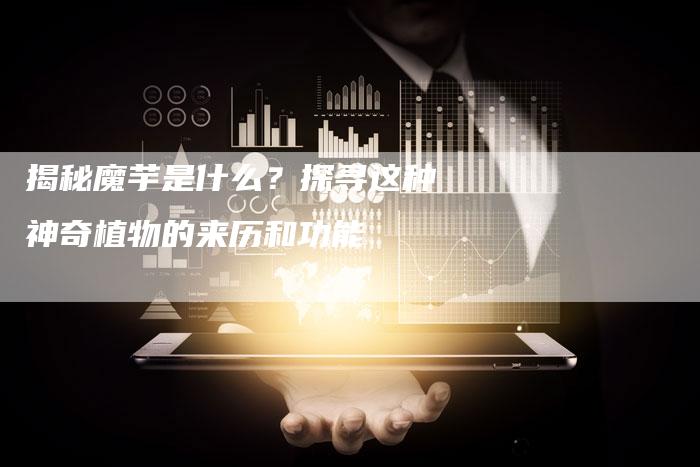 揭秘魔芋是什么？探寻这种神奇植物的来历和功能